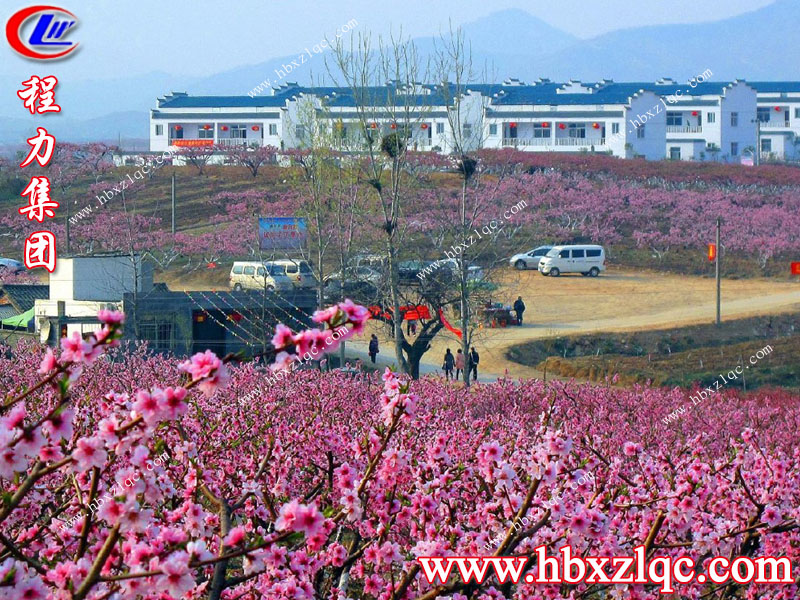 沒(méi)有三生三世，但有十里桃花——湖北程力集團(tuán)小編帶你去看十里桃花